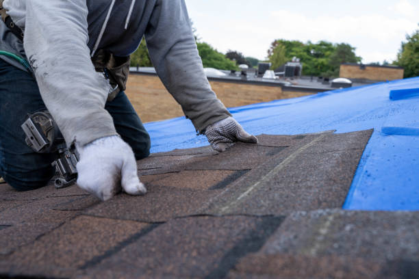Quick and Trustworthy Emergency Roof Repair Services in North Cape May, NJ